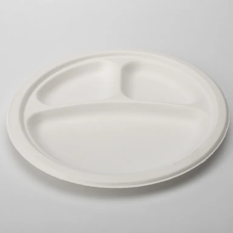 Sugarcane Bgasse Plate