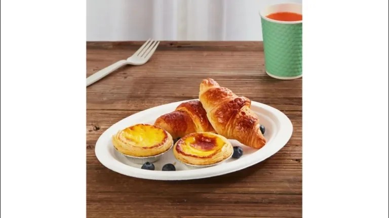 Sugarcane Bagasse Plate
