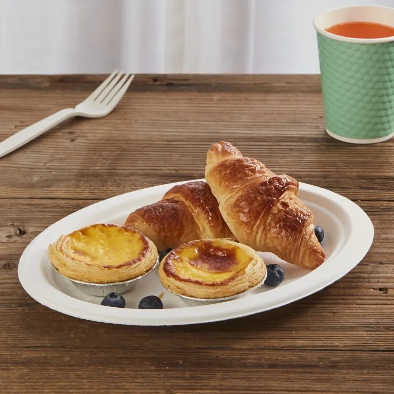 Biodegradable Disposable Sugarcane Bagasse Plates