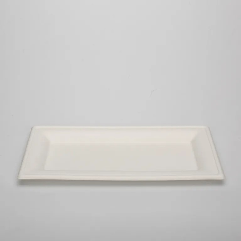 Eco-friendly disposable sugarcane tableware