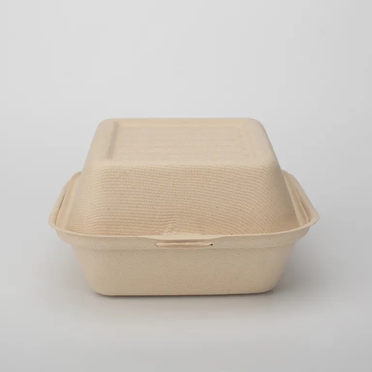 Takeway Food Box
