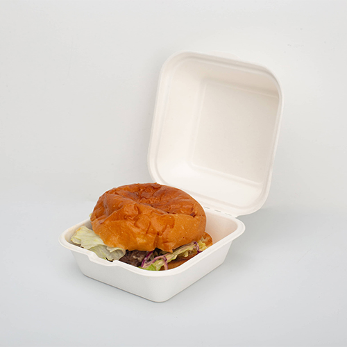 Clamshell Box Packaging