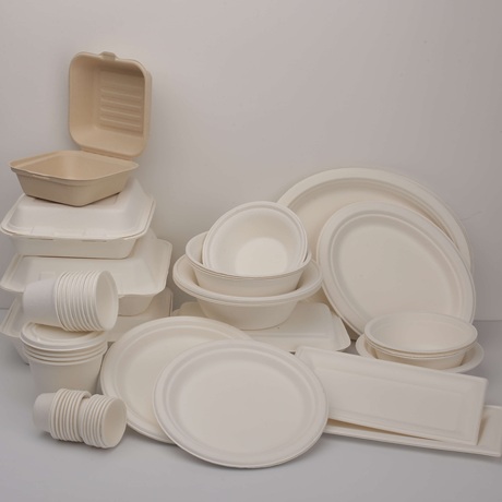 Factory Production Automation-paper puilp tableware
